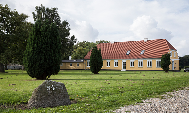 Oprindelse